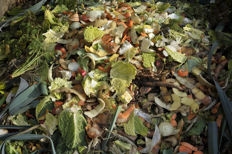 Waste disposal waste collection